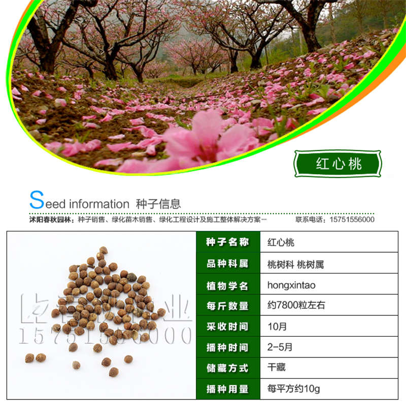 红心桃种子基本信息