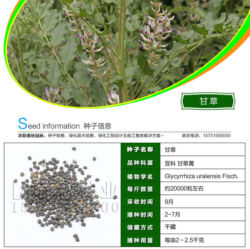 甘草种子基本信息