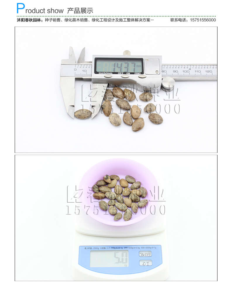 瓜蒌种子销售参考价格