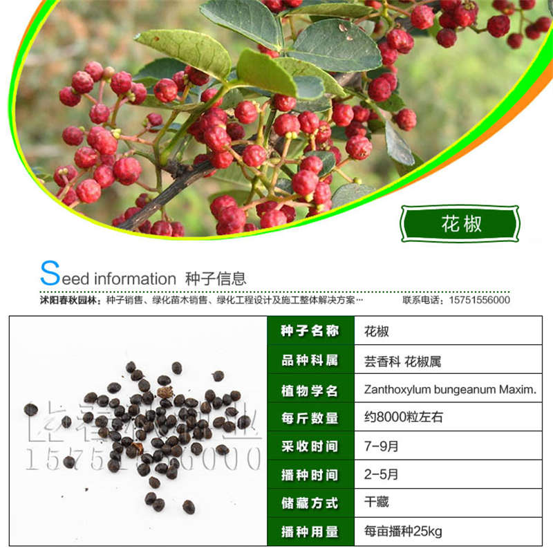 花椒种子基本信息